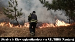 Пожежник гасить вогонь всередині 30-кілометрової зони довкола Чорнобильської АЕС. Квітень 2020 року