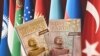 Иллюстрациялык сүрөт. "Жалпы Түрк тарыхы" окуу китеби.