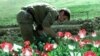 UNODC Wants NATO To Destroy Opium