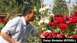 Azyn Yusupov, an ethnic Uzbek in the southern city of Osh, tends to his roses at his home in the city's Osh District, which was destroyed by fire during the June 2010 ethnic clashes.