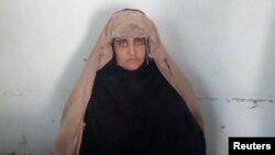 پر شربت ګلې تور دی چې د پاکستان شناختي کارټ يې په ټګۍ ترلاسه کړی دی.