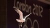 Airplane Crew Confiscates Olympic Athlete's Gun