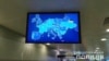 Ukrainian Police Investigating Video At Airport Showing Country's Map Without Crimea