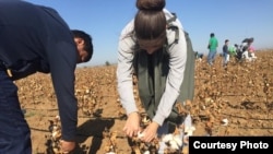 The government in Tashkent uses one of the world’s largest state-sponsored systems of forced labor to harvest Uzbek cotton.